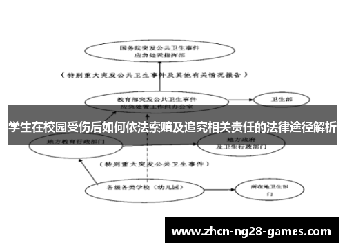 学生在校园受伤后如何依法索赔及追究相关责任的法律途径解析