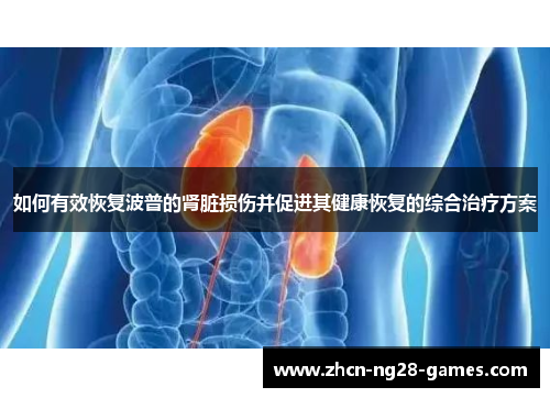 如何有效恢复波普的肾脏损伤并促进其健康恢复的综合治疗方案