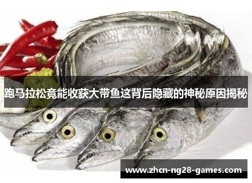 跑马拉松竟能收获大带鱼这背后隐藏的神秘原因揭秘
