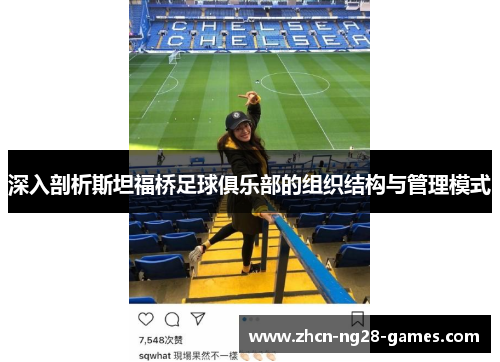 深入剖析斯坦福桥足球俱乐部的组织结构与管理模式