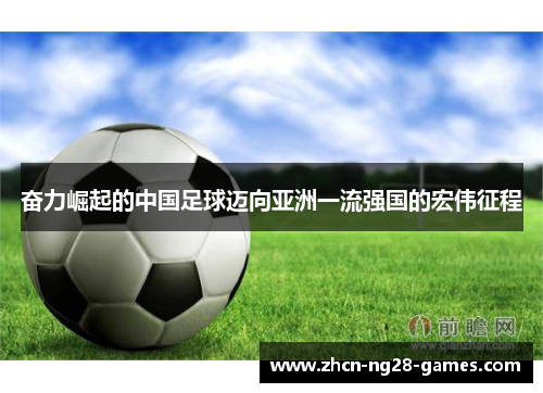 奋力崛起的中国足球迈向亚洲一流强国的宏伟征程