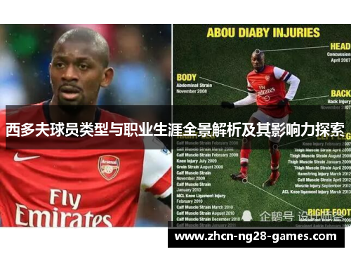 西多夫球员类型与职业生涯全景解析及其影响力探索